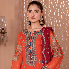 Pakistani Plus  Size Dresses
