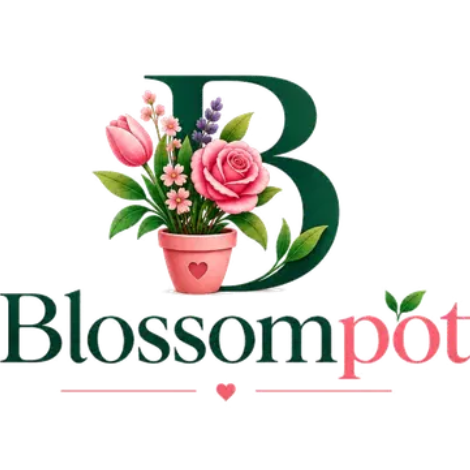 Blossom Pot