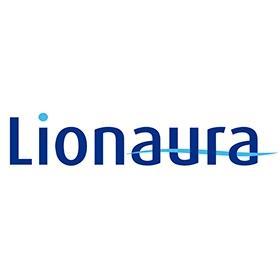 Lion Lion